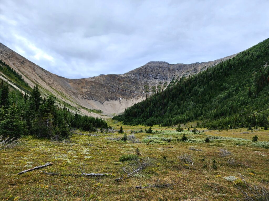 Meadow-Below-Tent-Ridge