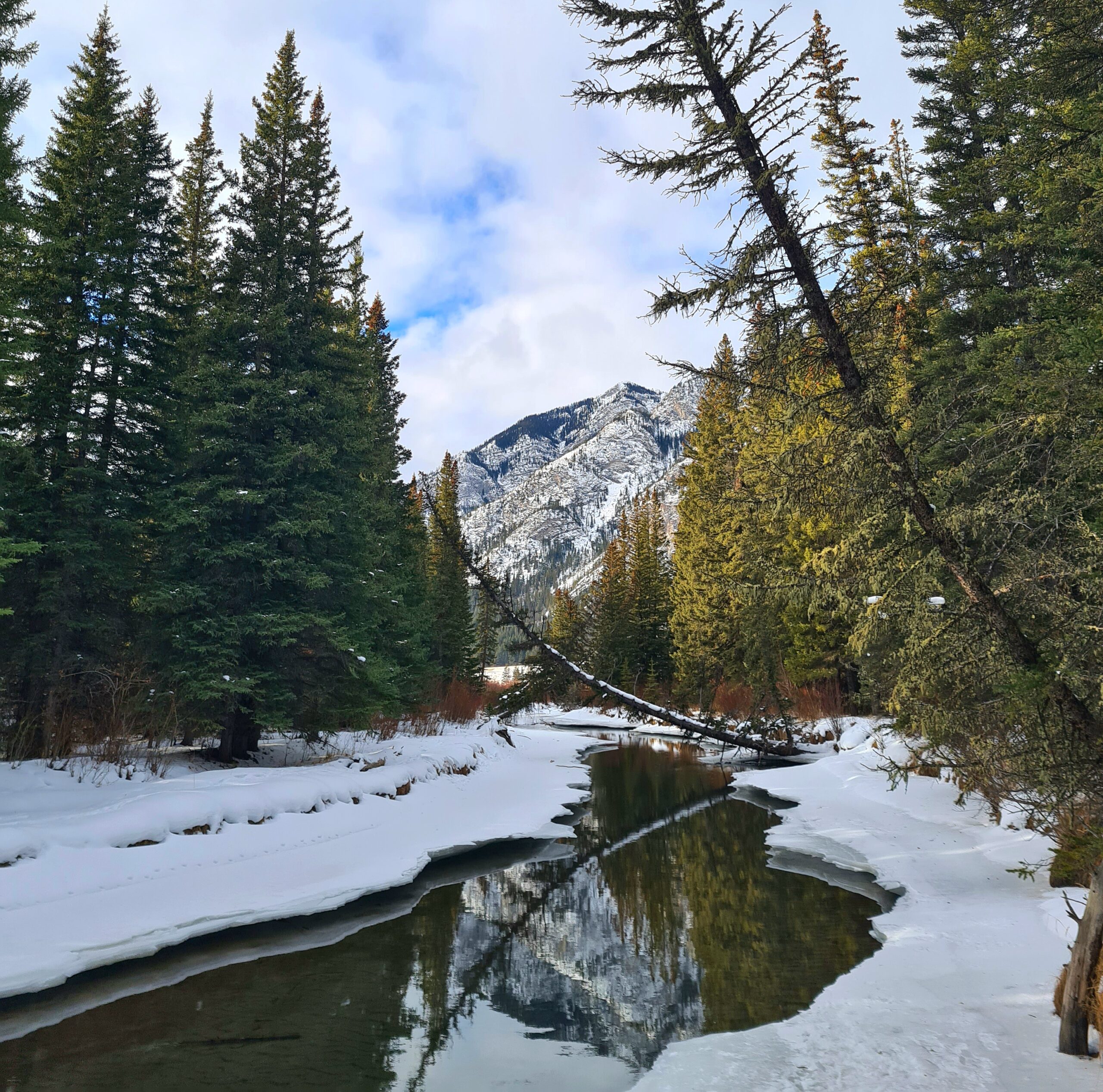Short Hike Fenland Trail Banff