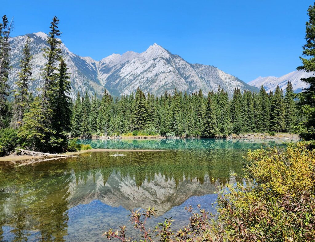 Short Hikes in Banff Sundance Creak Color Change Bow River