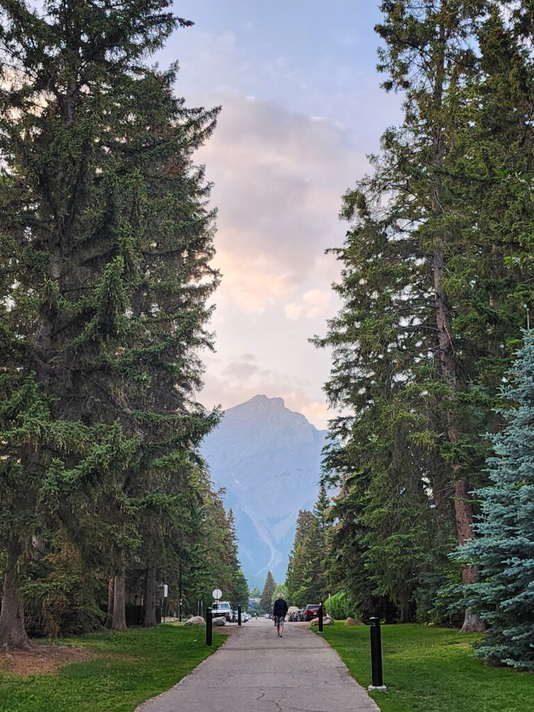 Cascade Mountain Muskrat Street